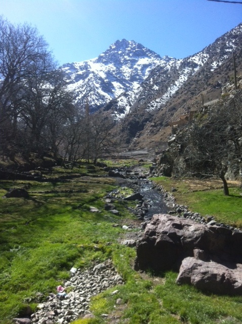 Imlil local experience