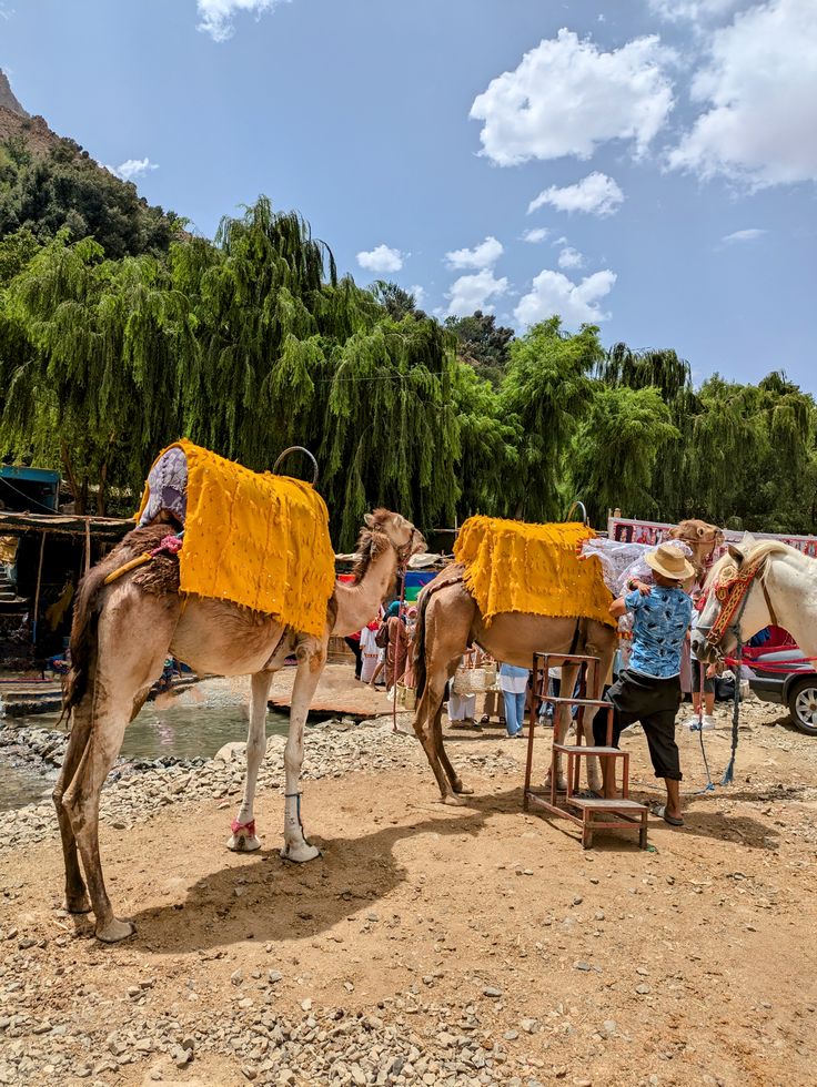 Berber village in Ourika Valley