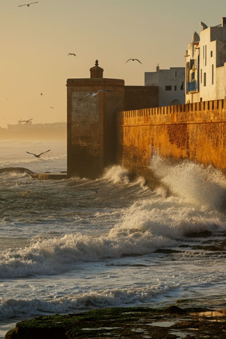 Essaouira coastal view